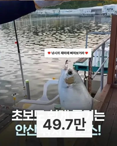 이색 카페 게시물, 조회수 49.7만